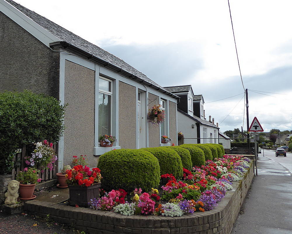 Front garden in Carlisle Road